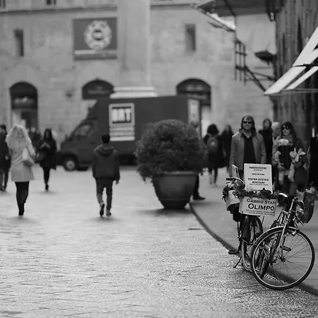 Apartment Palchetti Florence
